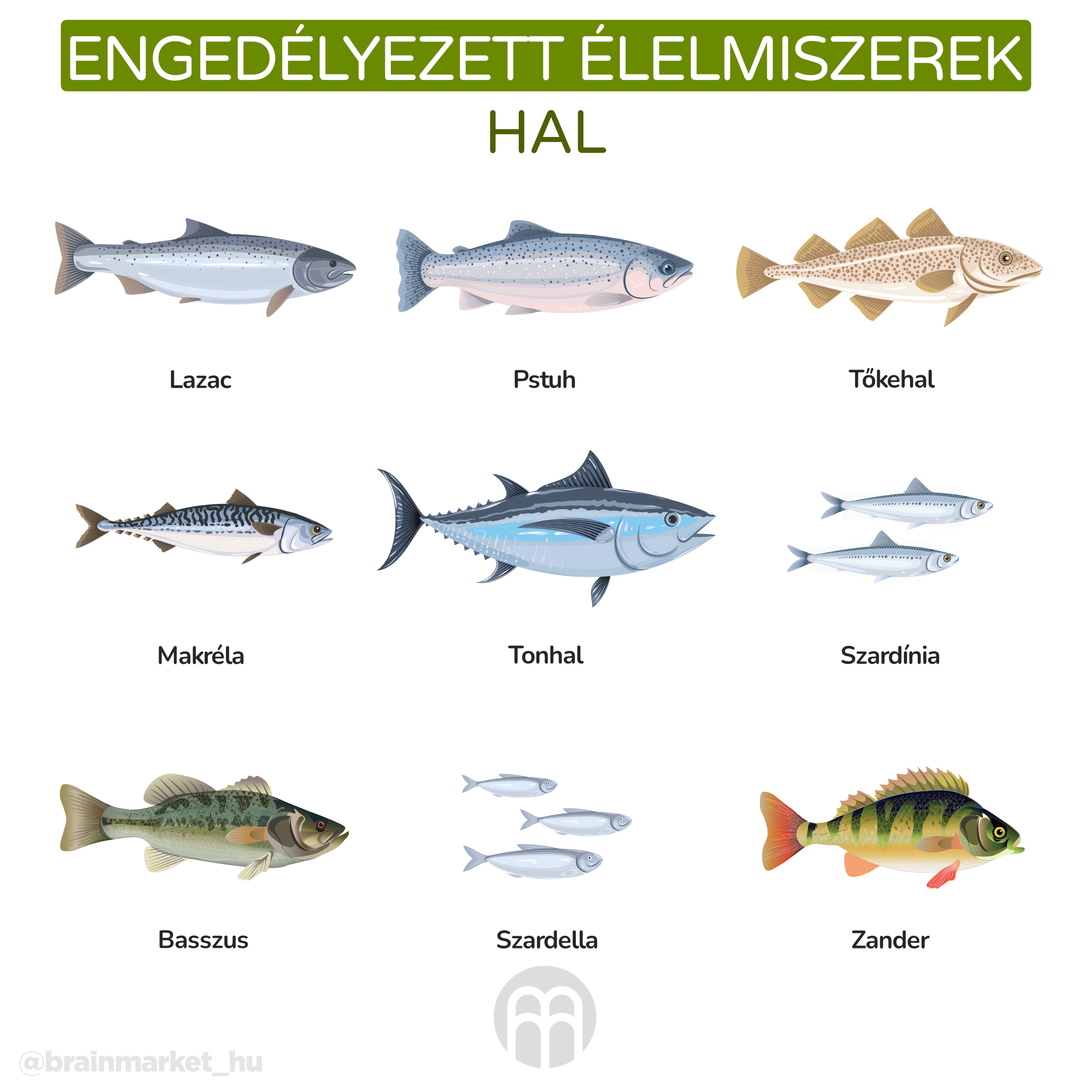 povolene potraviny ryby_infografika_hu